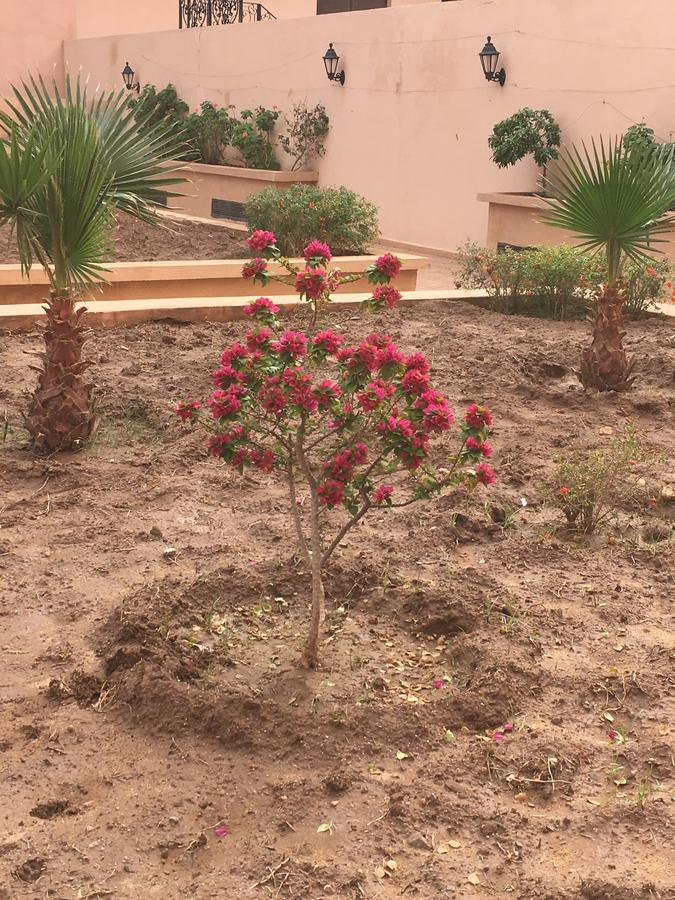 Appartement Elias Marrakech Марракеш Екстер'єр фото